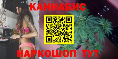 индика Железногорск