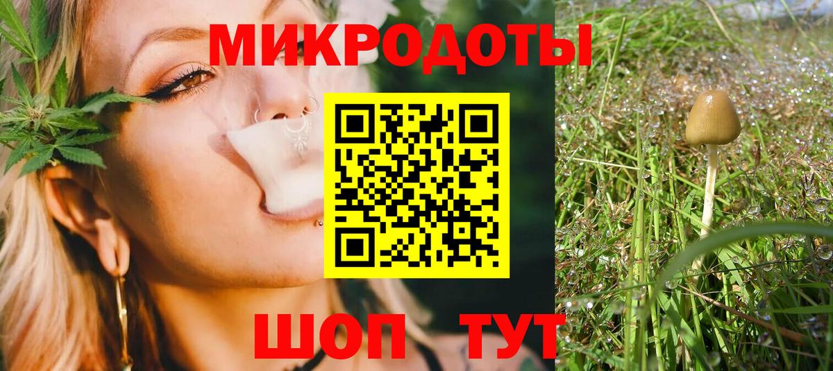 Аргун  Галлюциногенные грибы GOLDEN TEACHER  Вход с VPN 